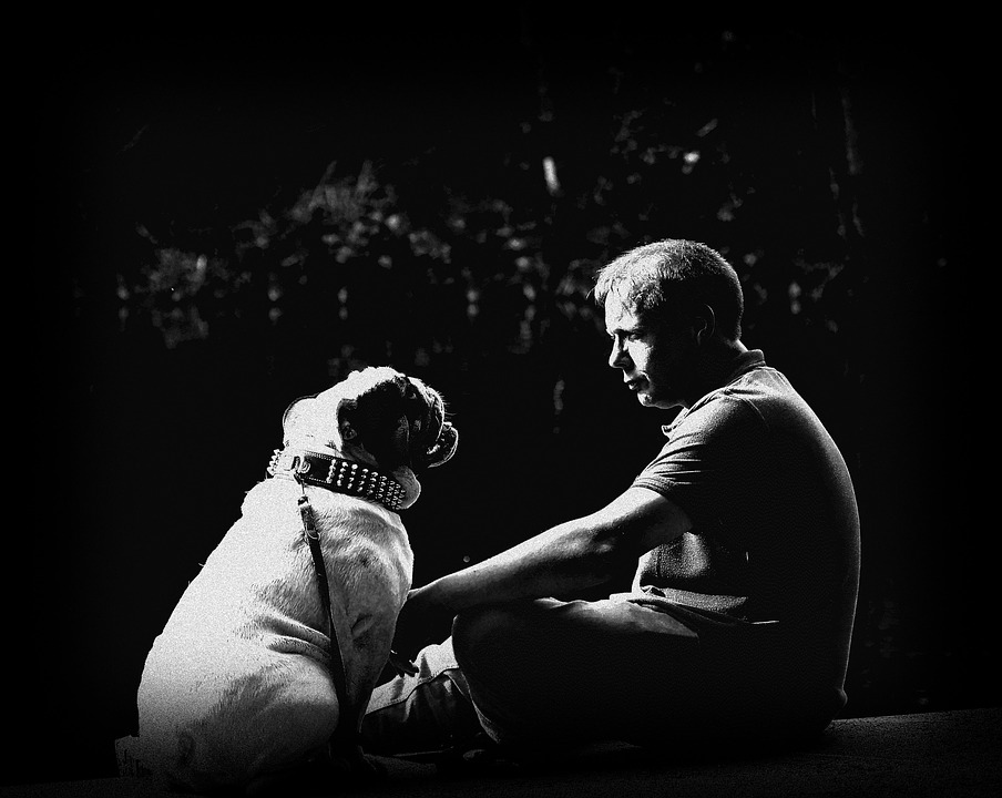 6 Ways Pets Can Help You Fight Depression and Anxiety Health